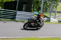 cadwell-no-limits-trackday;cadwell-park;cadwell-park-photographs;cadwell-trackday-photographs;enduro-digital-images;event-digital-images;eventdigitalimages;no-limits-trackdays;peter-wileman-photography;racing-digital-images;trackday-digital-images;trackday-photos